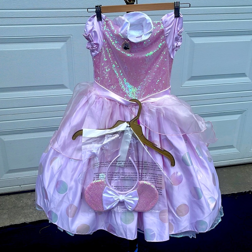 Disney Princess Dress